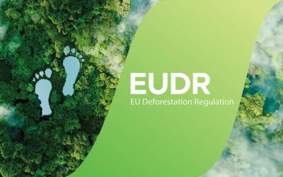 EUDR (EU Deforestation Regulation) – nova izjava prema novim smjernicama